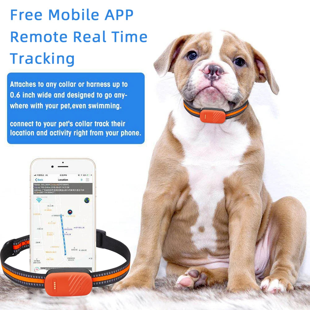 Pet Tracker GPS Electronic Fence Dog Cat Collar