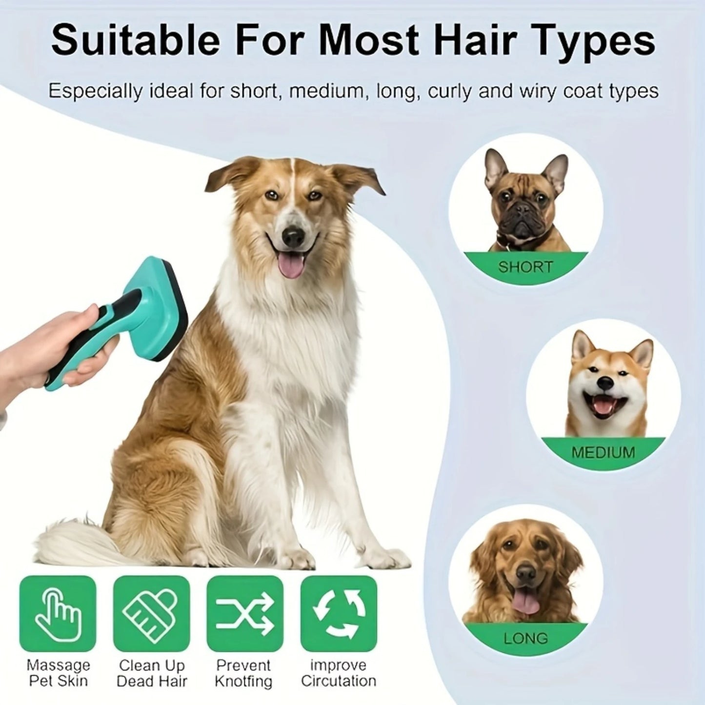 Dog Grooming Tools,