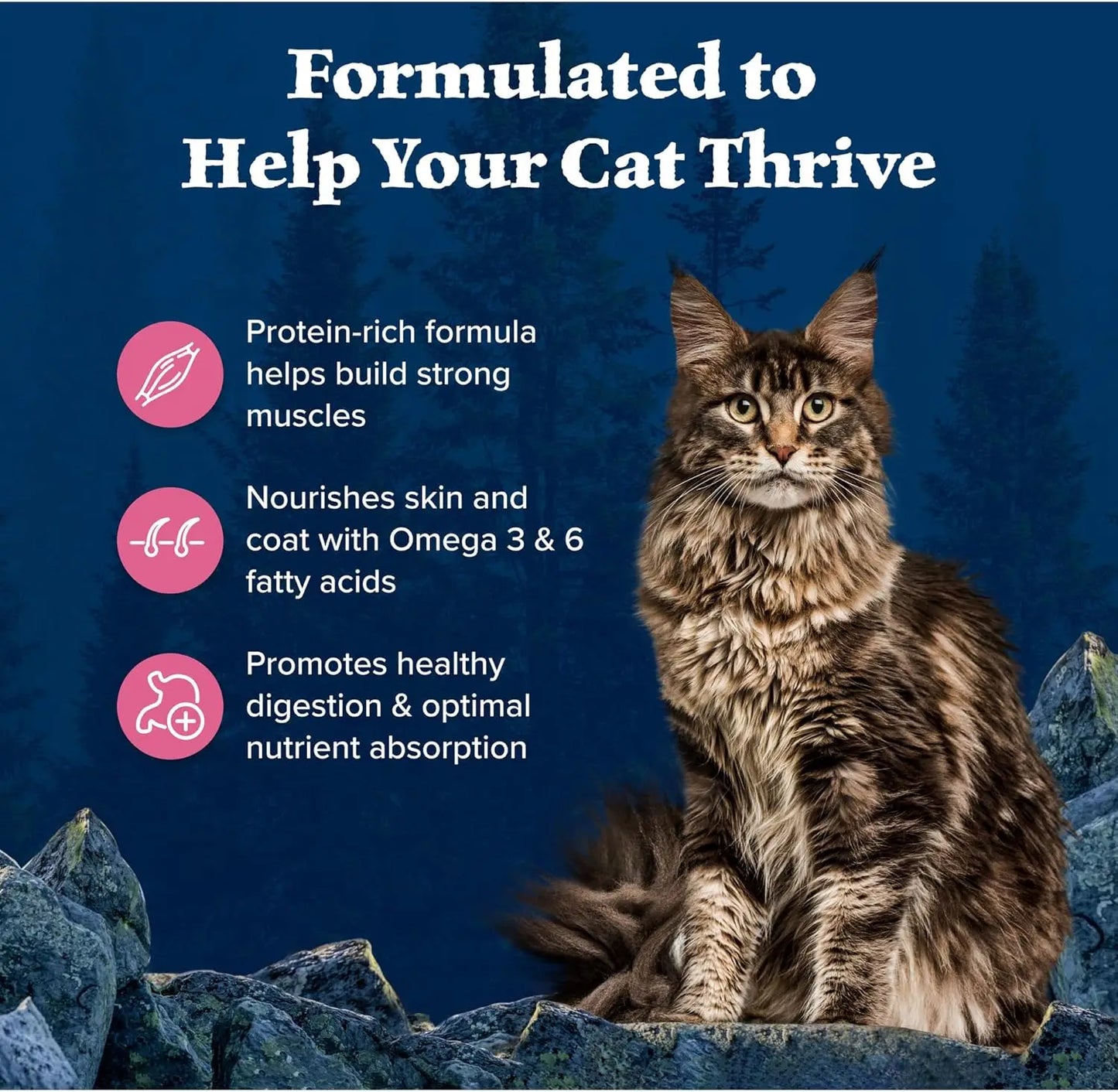 Natural High Protein, Grain Free Dry Food for Adult Cats