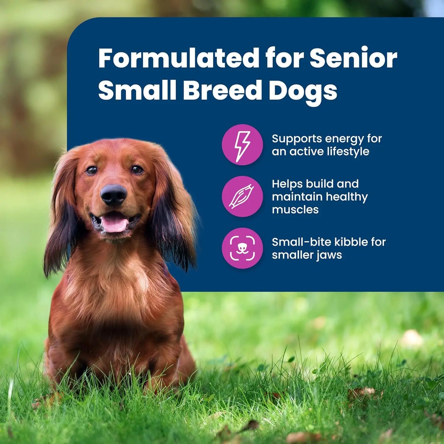 Small Breed Senior Dry Dog Food,