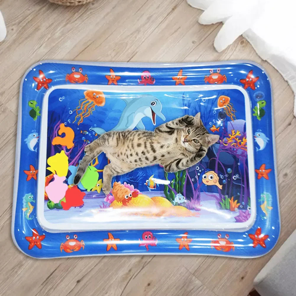 Sensory Water Mat