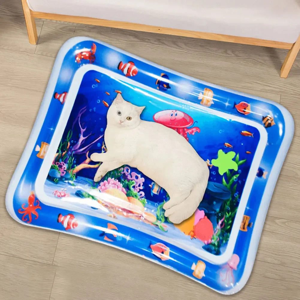 Sensory Water Mat